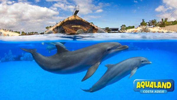 Royal Ocean View - Top Localization Costa Adeje  Eksteriør bilde